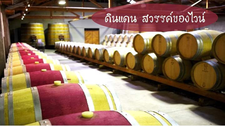 สวรรค์ของไวน์ในแผ่นดินโลกใหม่กับรสชาติที่เป็นเอกลักษณ์เฉพาะตัวของนิวซีแลนด์