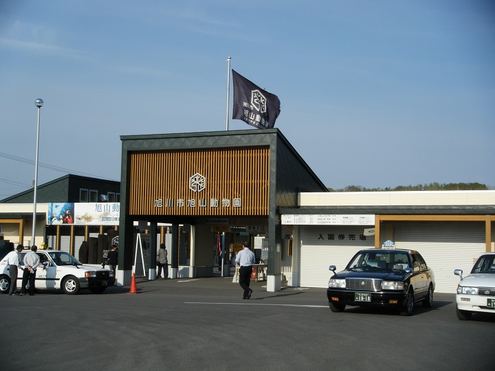 Cute Wild Animals in Asahiyama Zoo