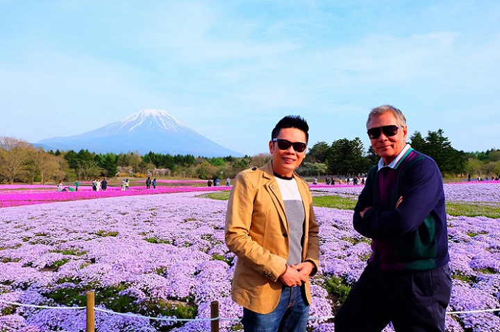 Fuji Shibazakura Festival