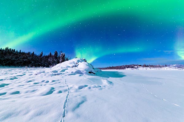 แสงเหนือ