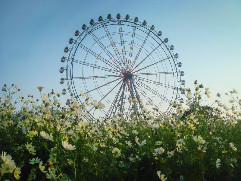 ferriswheel.jpg