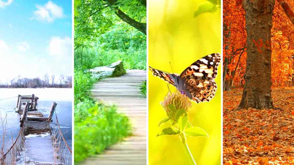รูปภาพนี้มี Alt แอตทริบิวต์เป็นค่าว่าง ชื่อไฟล์คือ plum-heating-and-cooling-all-seasons.jpg