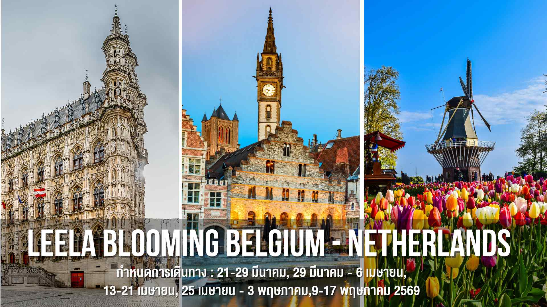 LEELA BLOOMING BELGIUM - NETHERLANDS