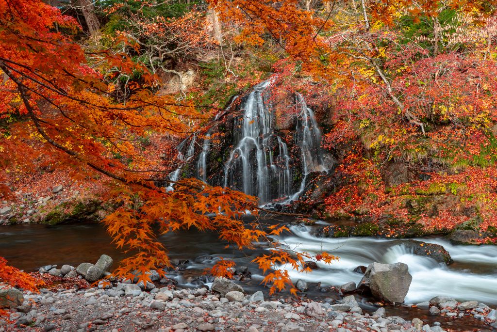 LEELA JAPAN GORGEOUS AUTUMN