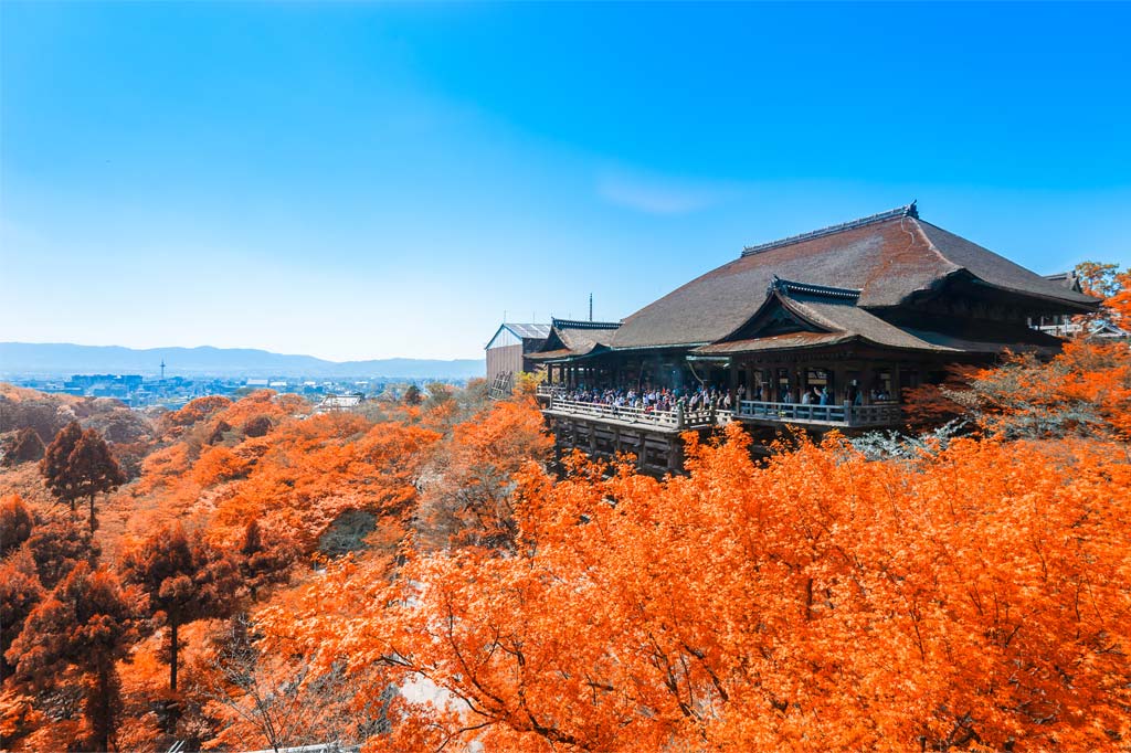 ทัวร์ญี่ปุ่นพรีเมียม : LEELA JAPAN EXCELLENT AUTUMN